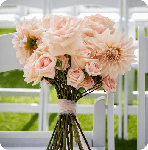 Weddings image 15